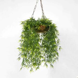 pic22 free img